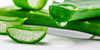 Remarkable Benefits of Aloe Vera Gel Capsules