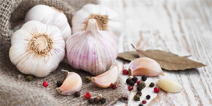 Garlic – Known To Be One Of The Most Powerful Supplements
